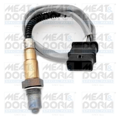 Oxygen Sensor